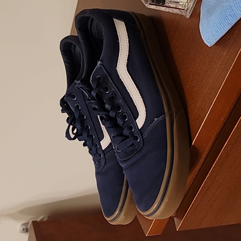 Vans Navy Low-top Canvas Sneakers